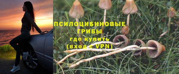 марихуана Инта