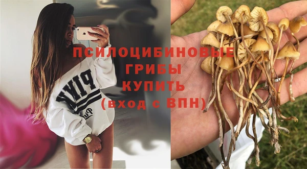 марихуана Инта