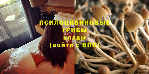 МДМА Инсар